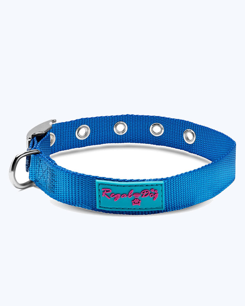 Blue - Nylon Dog Collar with Metal Buckle