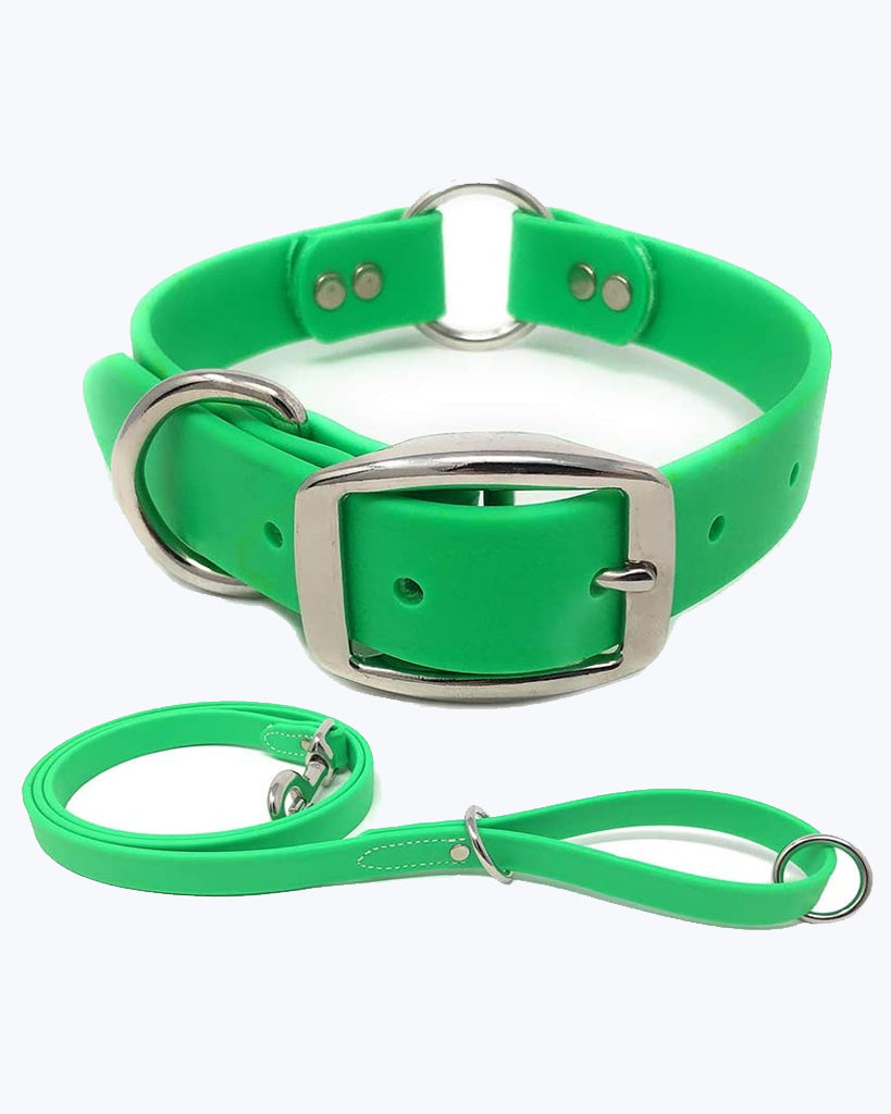 Light Green Dog Collar - Center Ring with Leash