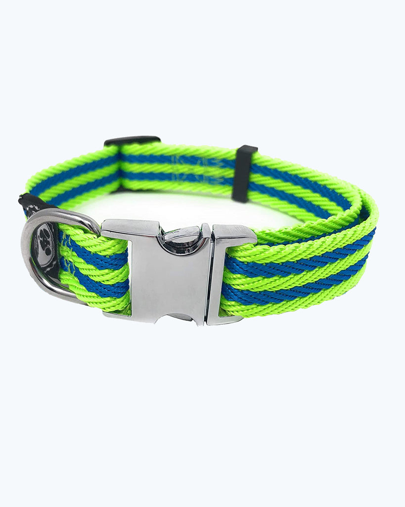 Lime Green / Blue Stripe - Pet Collar with Metal Buckle and D Ring