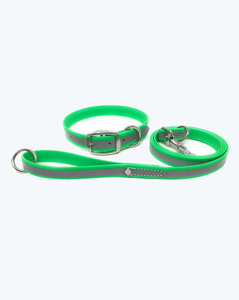 Green- Reflective Standard Collar with Leash