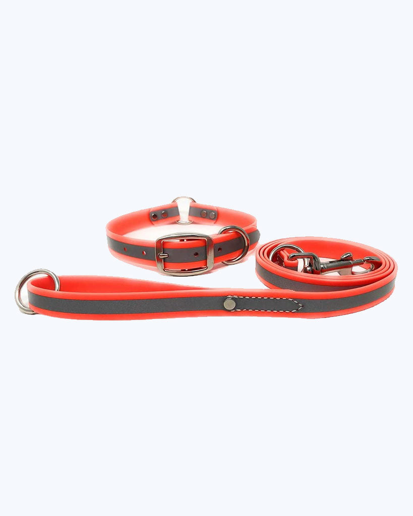 Orange - Reflective Center Ring Collar with Leash