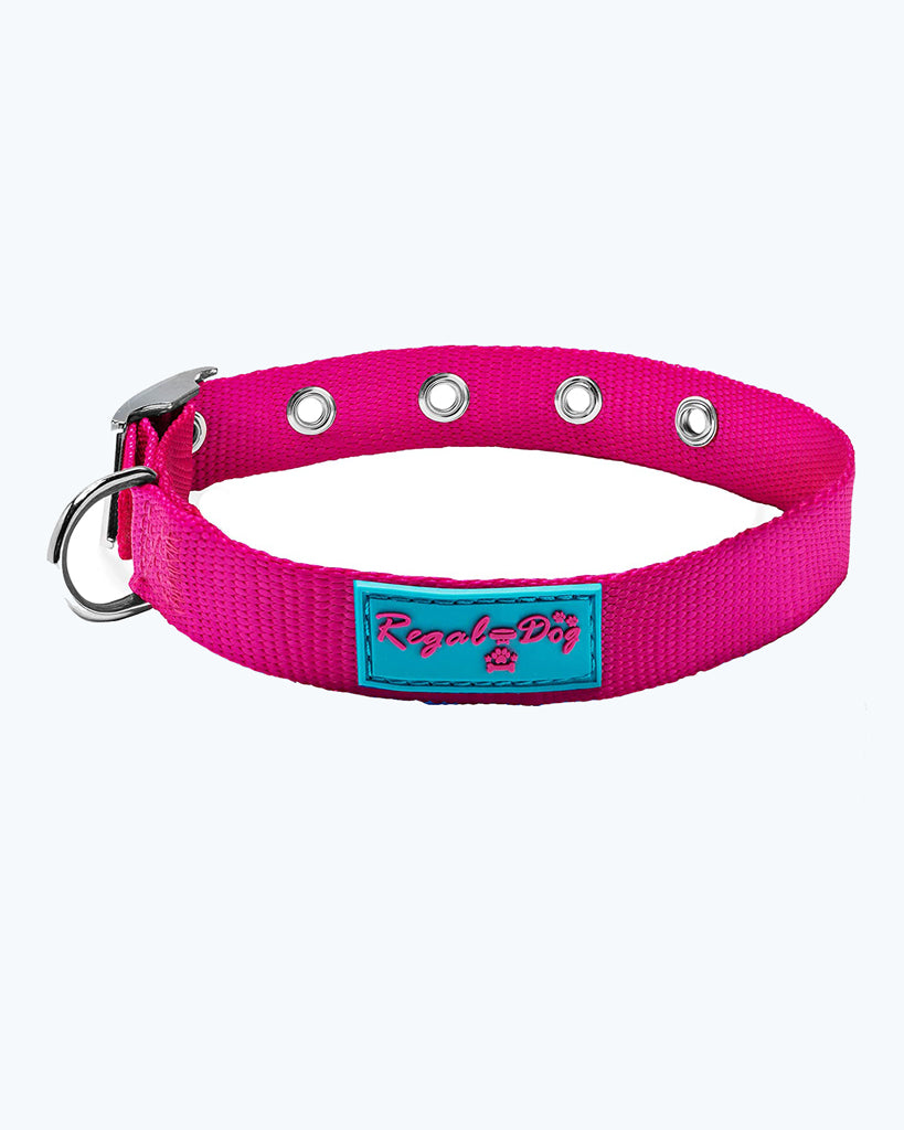 Pink - Nylon Dog Collar with Metal Buckle
