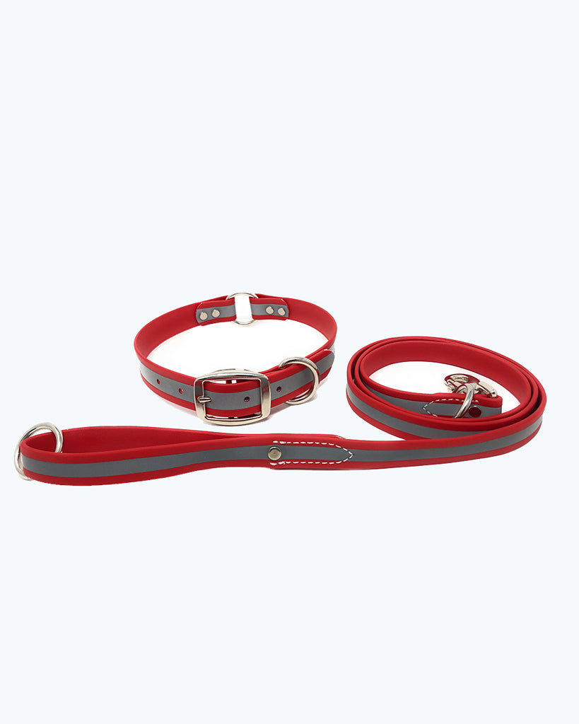 Red- Reflective Center Ring Collar with Leash