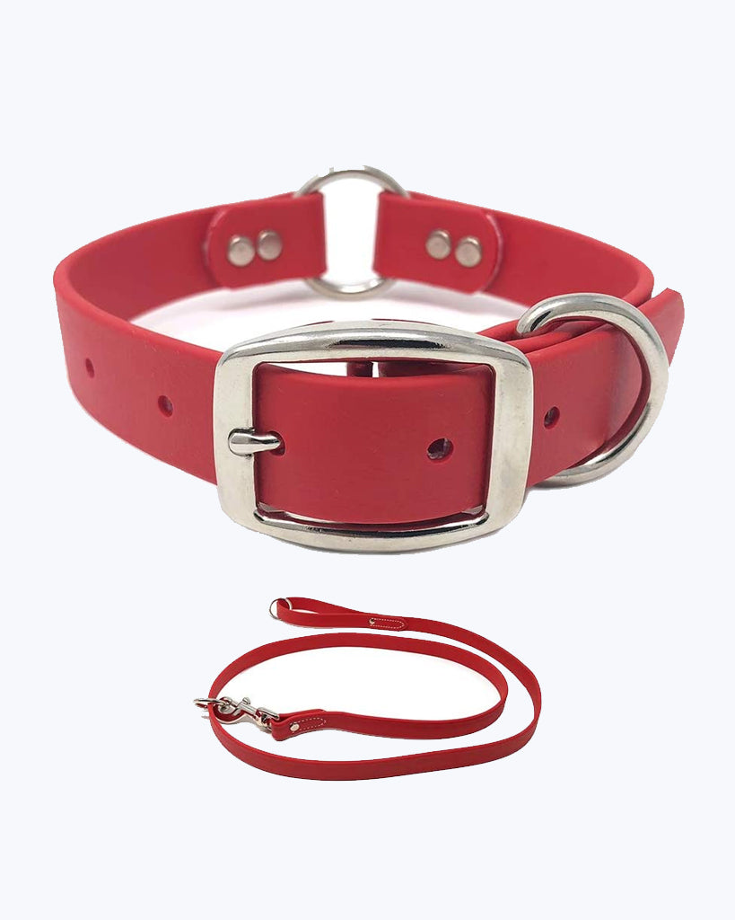 Red Dog Collar - Center Ring with Leash