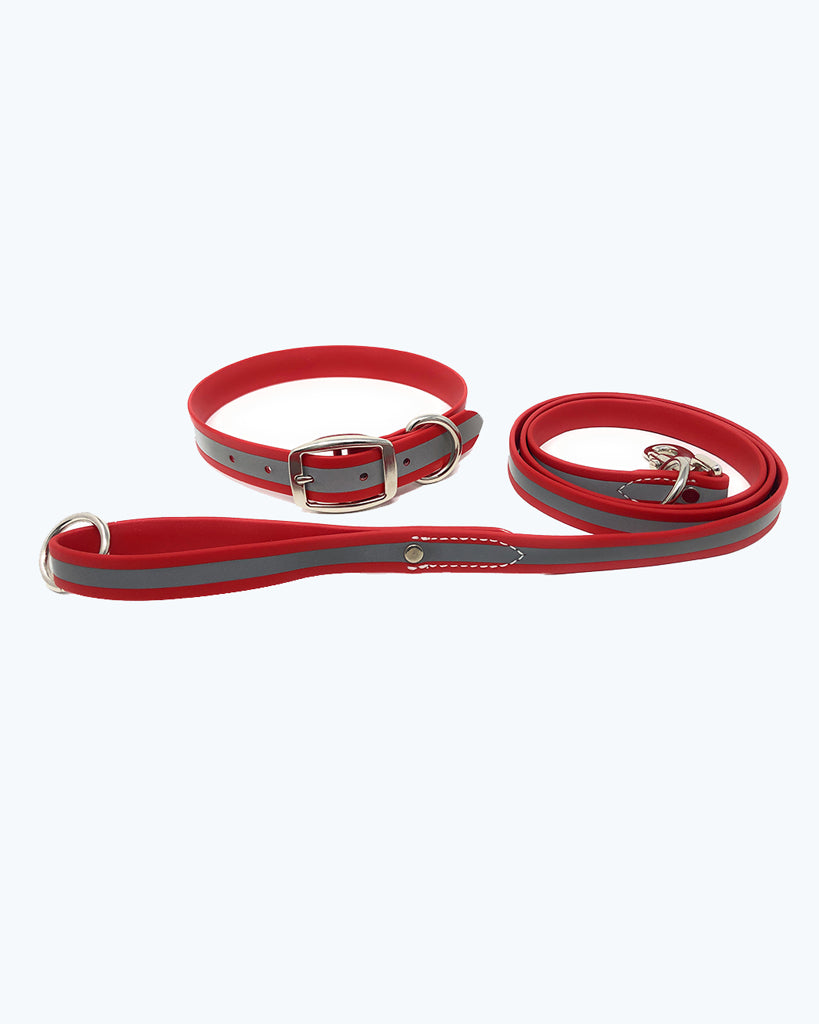 Red- Reflective Standard Collar with Leash