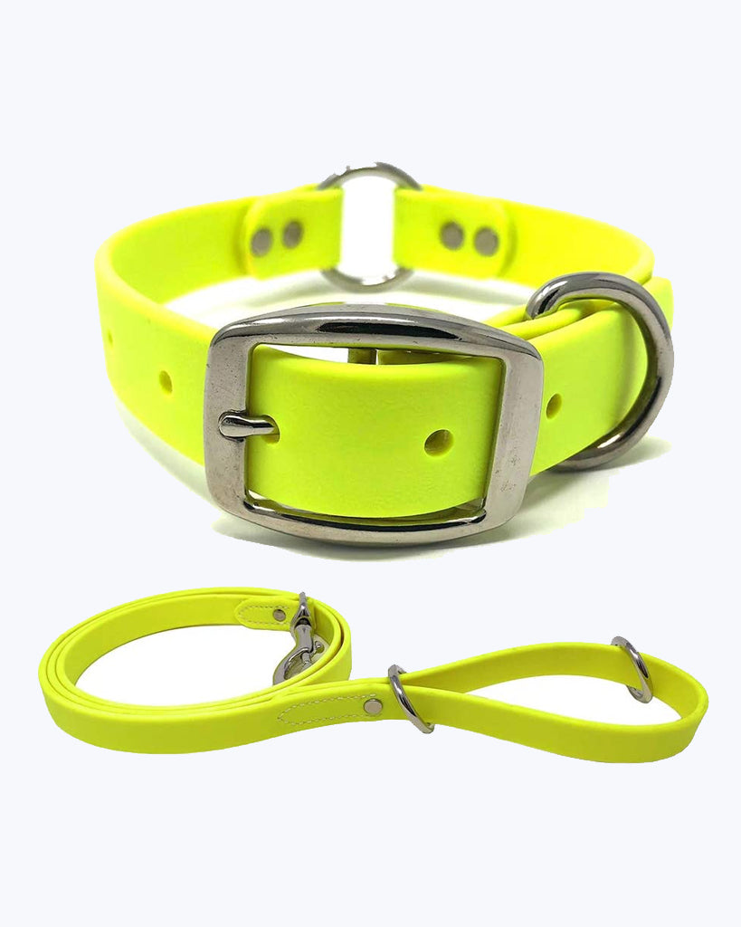 Yellow Dog Collar - Center Ring with Leash