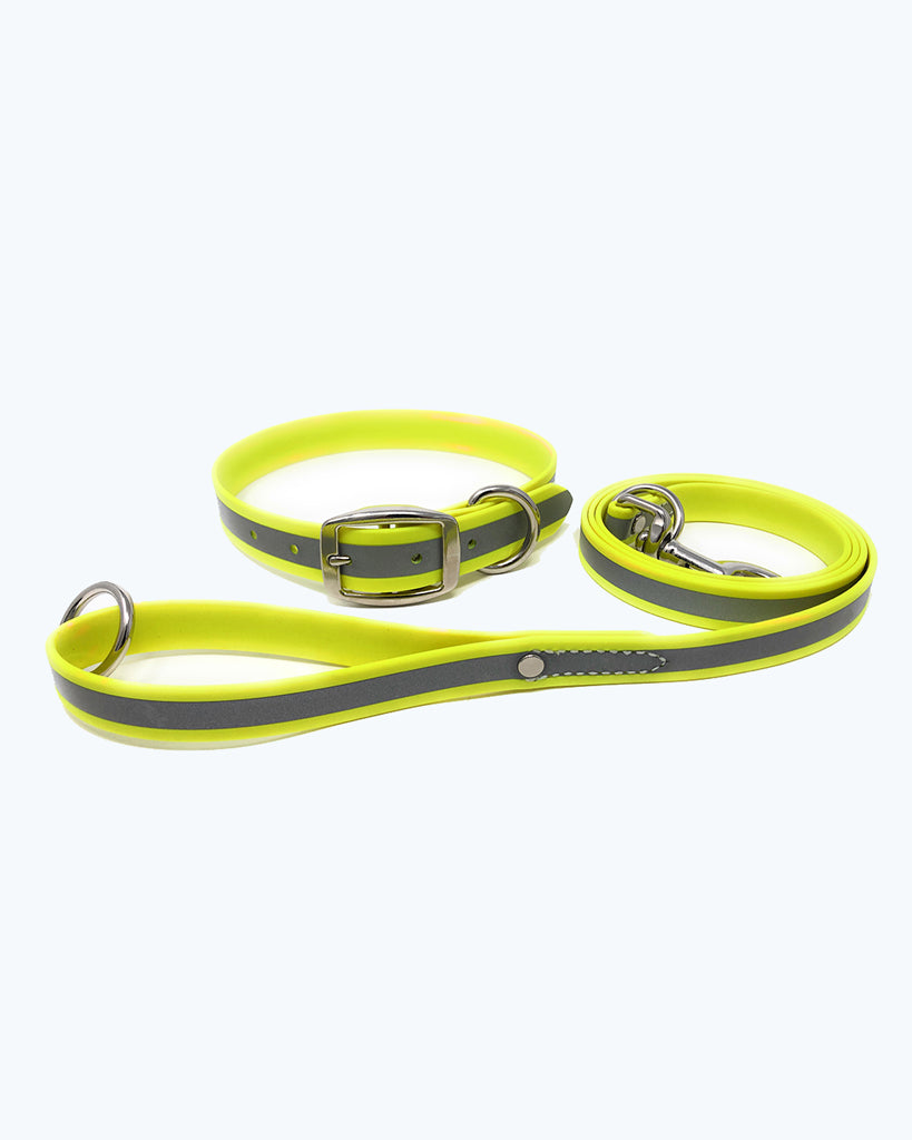 Yellow- Reflective Standard Collar with Leash
