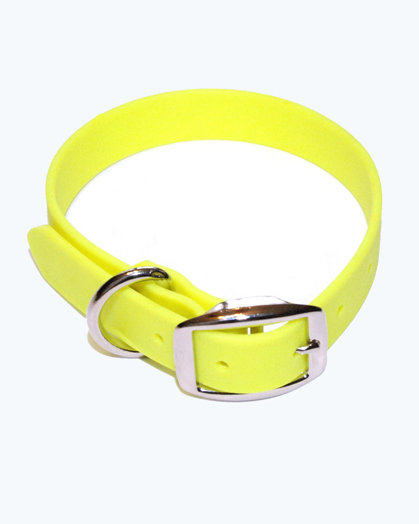 Yellow Dog Collar - Standard - Waterproof