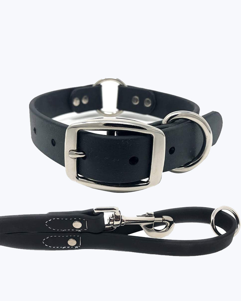 Black Dog Collar - Center Ring with Leash