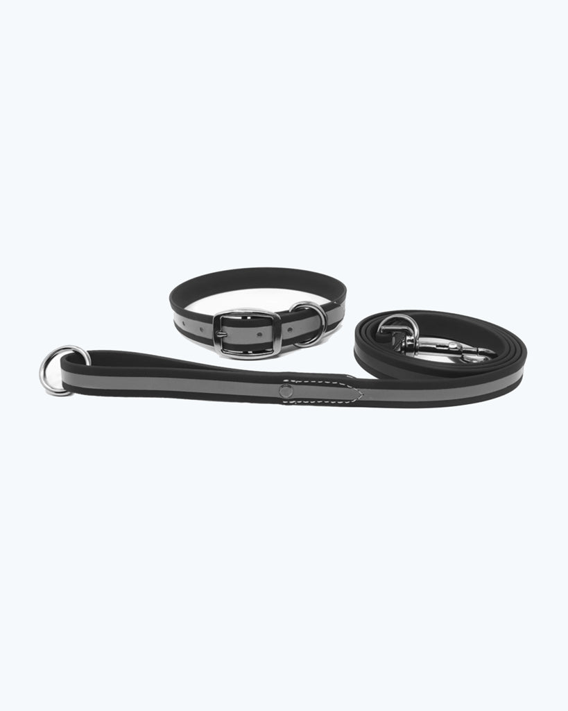 Black - Reflective Standard Collar with Leash