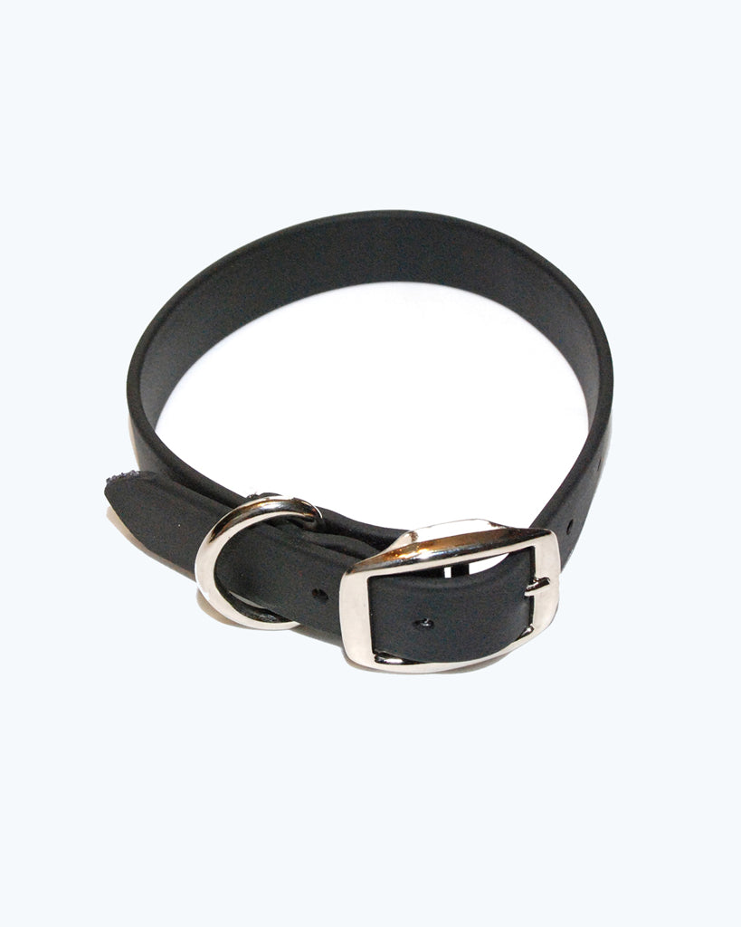 Black Dog Collar - Standard - Waterproof