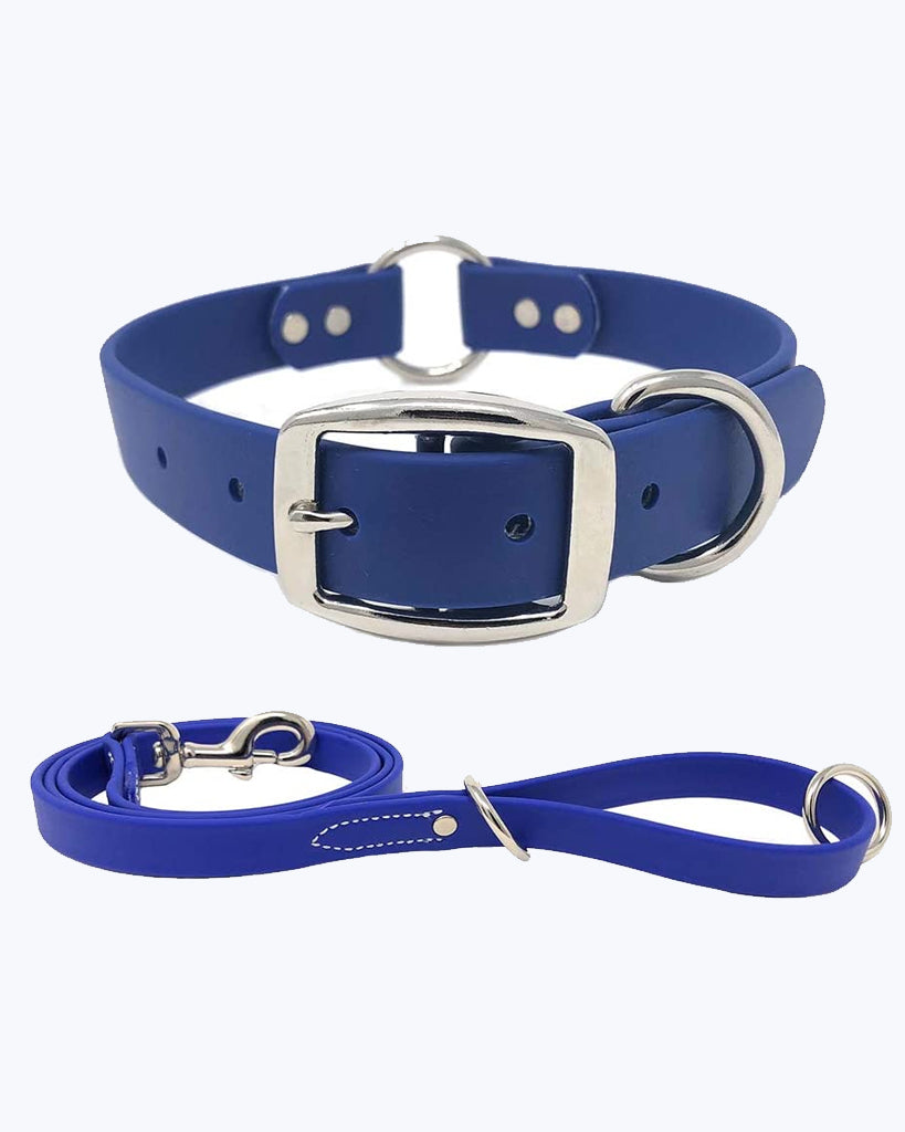 Blue Dog Collar - Center Ring with Leash