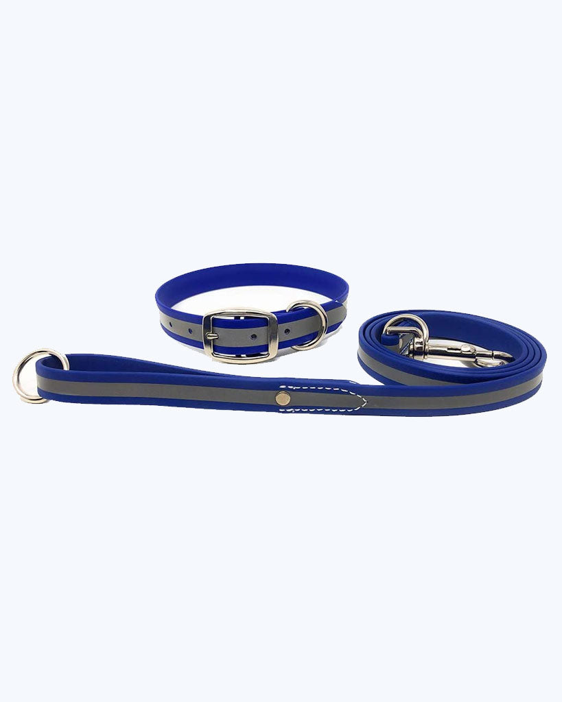 Blue - Reflective Standard Collar with Leash