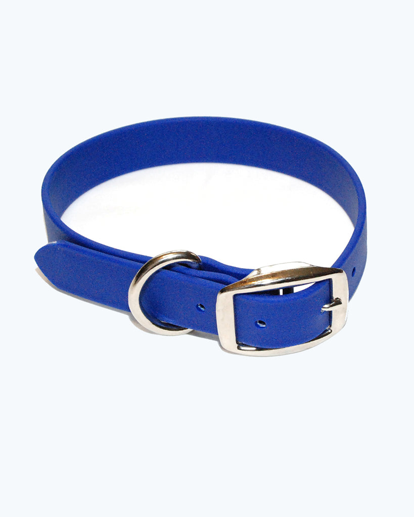 Blue Dog Collar - Standard - Waterproof