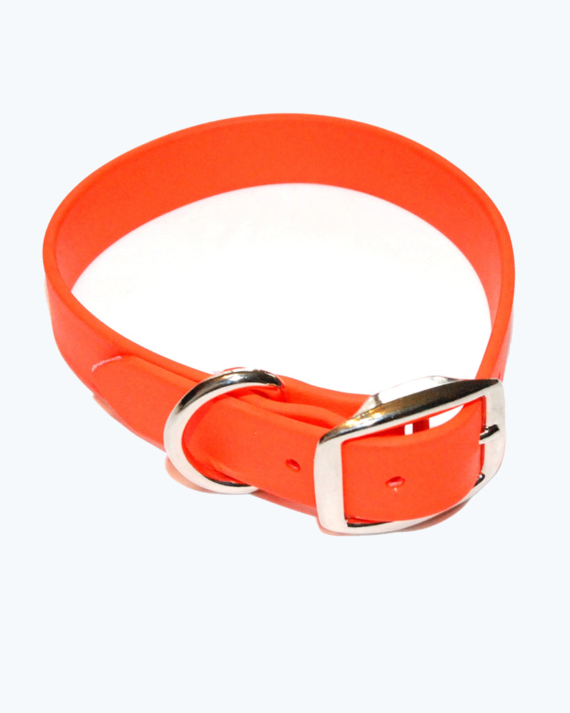 Orange Dog Collar - Standard - Waterproof