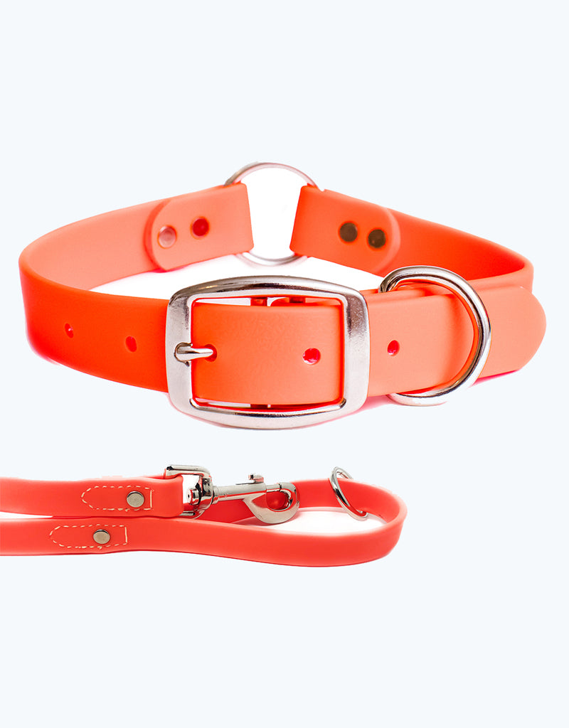 Orange Dog Collar - Center Ring with Leash