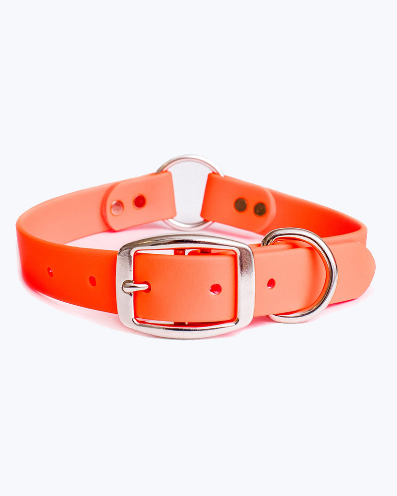 Orange Dog Collar - Center Ring - Waterproof