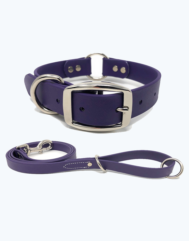 Purple Dog Collar - Center Ring with Leash