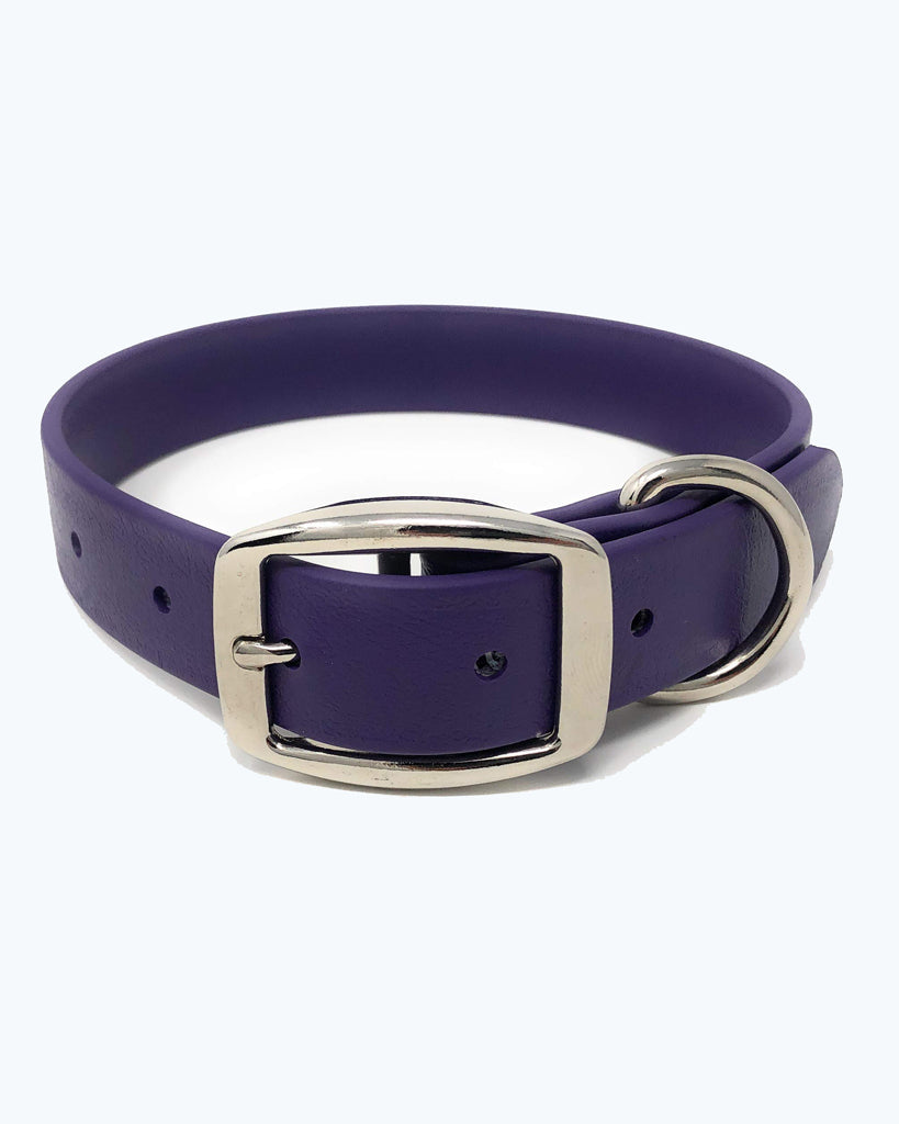 Purple Dog Collar - Standard - Waterproof