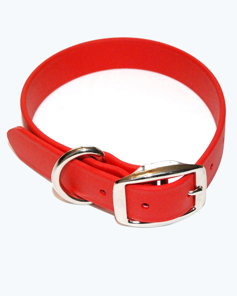 Red Dog Collar - Standard - Waterproof