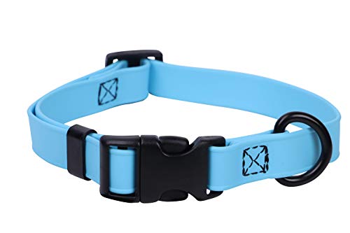 Custom Fit Dog Collar