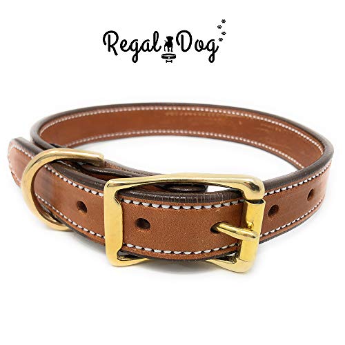 Custom Leather Dog Collar