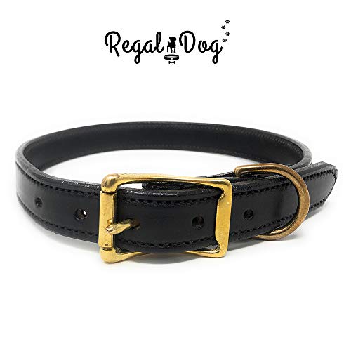 Custom Leather Dog Collar