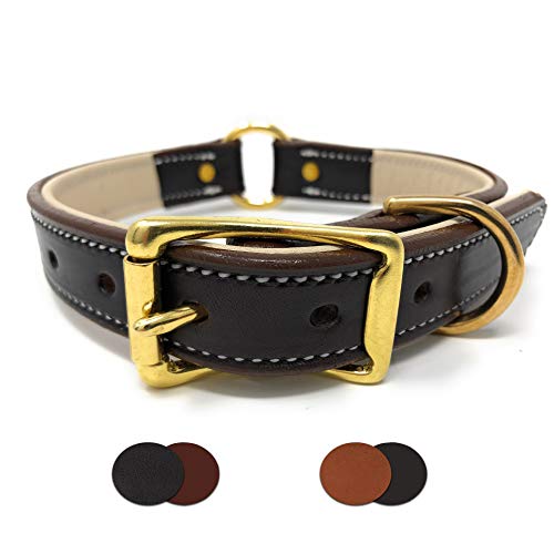 Padded Leather Dog Collar