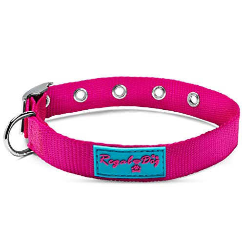 Nylon Dog Collar with Metal Buckle