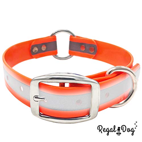 Reflective Collar with Heavy Duty Center Ring