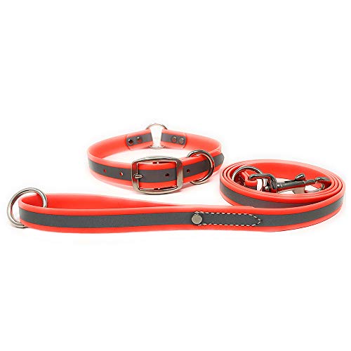 Heavy Duty Reflective Dog Collar