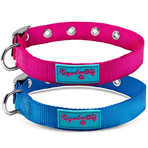 Nylon Dog Collar with Metal Buckle