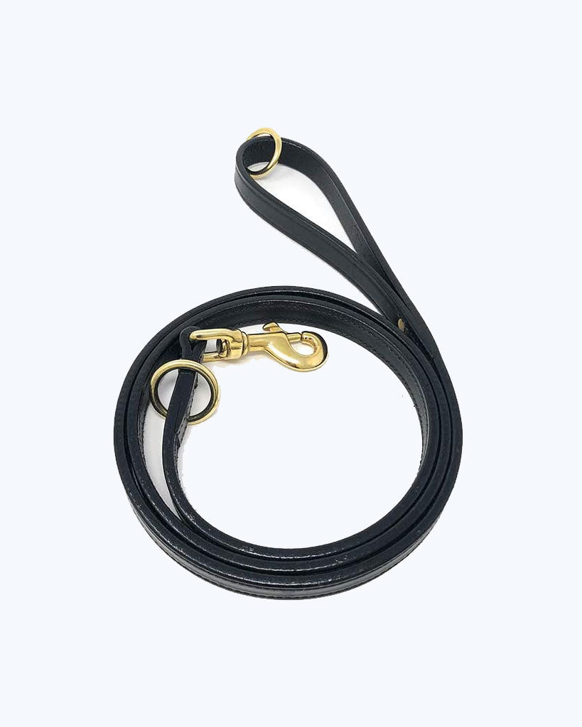 5' Black Premium Leather Lead