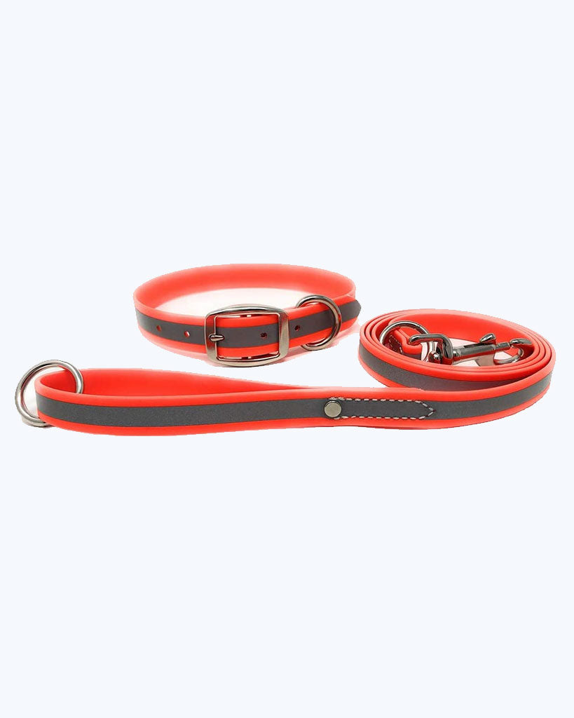 Orange - Reflective Standard Collar with Leash